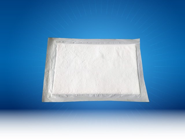 Kan Emici Ped 20 x 30 cm 500 Gr 1050 Adet